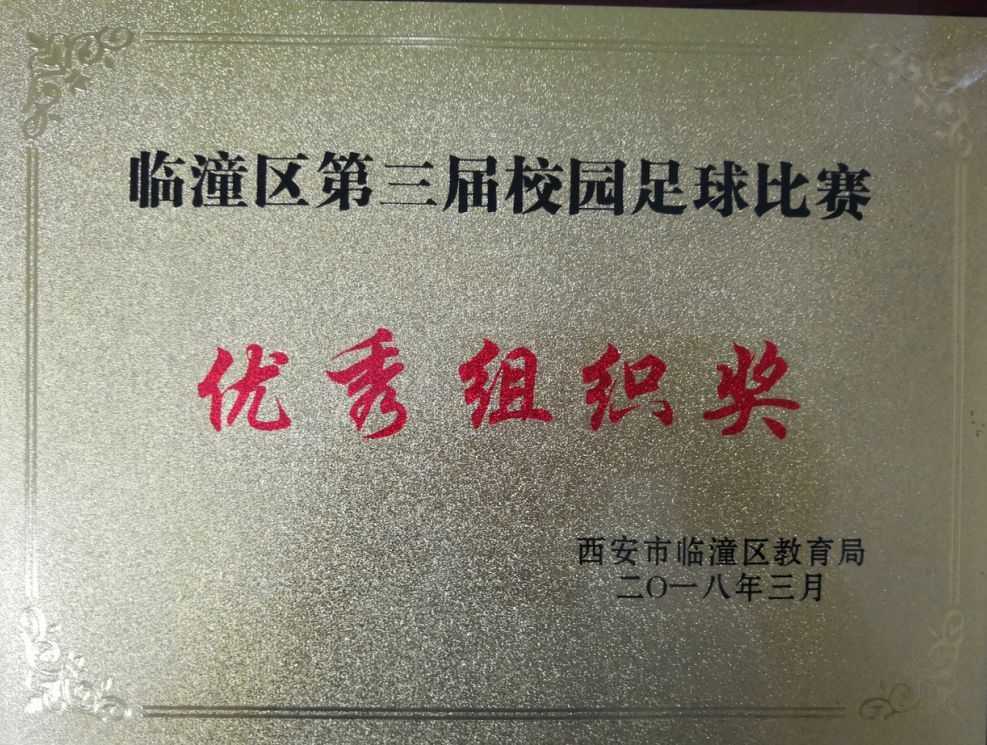 临潼区足球联赛落下帷幕，西安临潼华乐学校荣获优秀组织奖