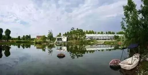 成都未来哪个片区发展规划最好,最新成都规划解读