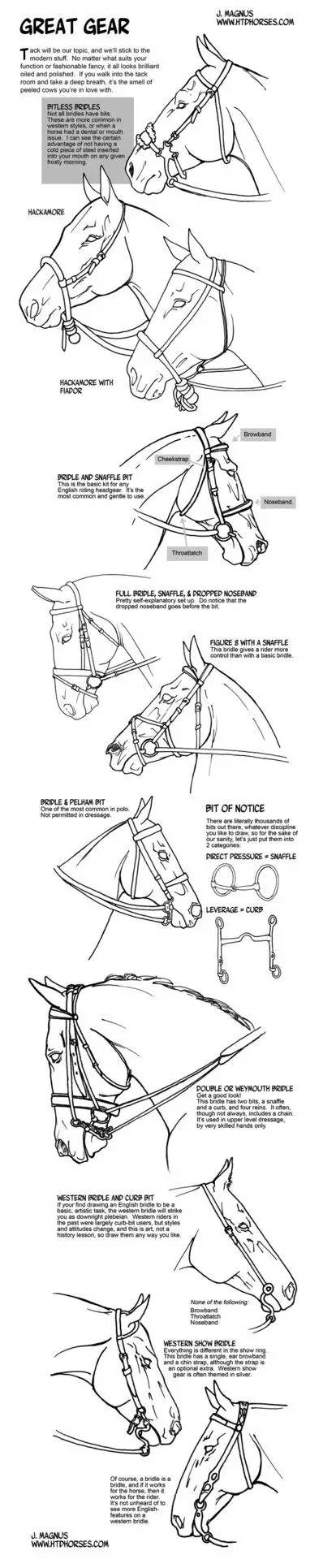 画一个简单又好看的马,教你一分钟画马