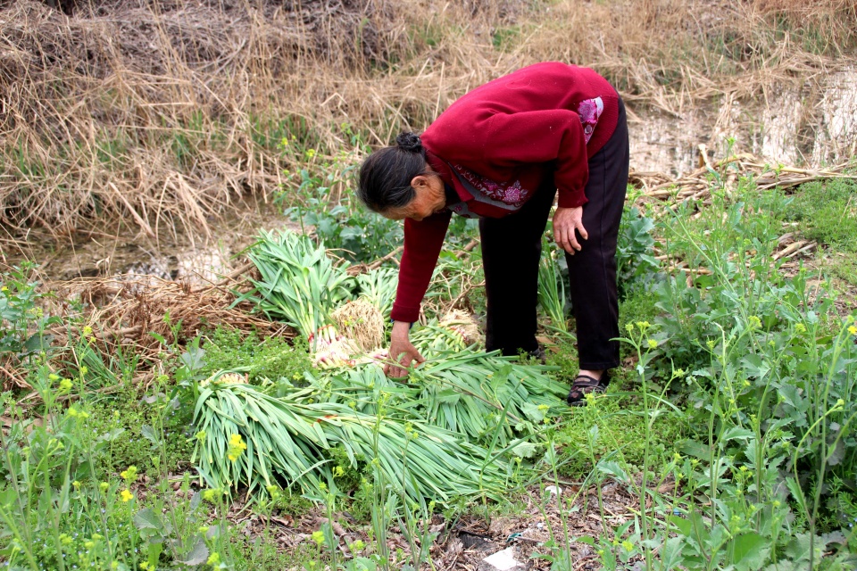 河南男子捡到只怪鸟，想要放生，专家看完后：价值600万