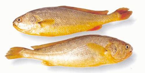 美丽浙江平阳,美丽浙江温州平阳