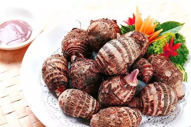 美丽苍南,美丽浙江温州瑞安