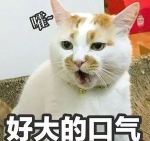 绘画中的一切都是假的,创意绘画是不是骗人的