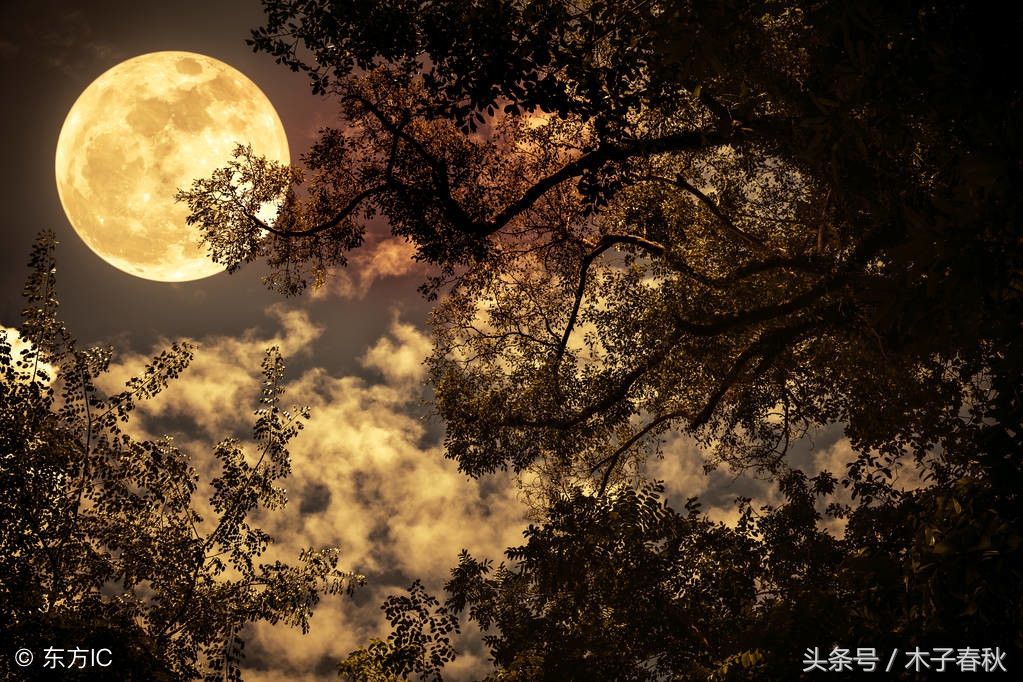 古代对孩子的各种乳名,古代人的名字有什么讲究