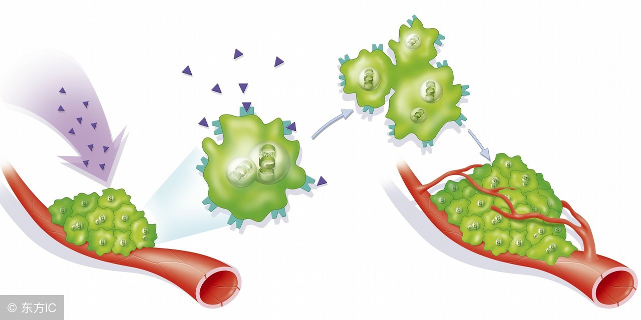 你知道白带是什么意思吗,如何知道白带有没有异味
