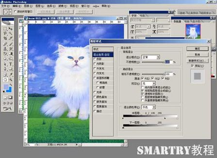 抠图ps非蒙版教程,ps抠图签名的抠图方法