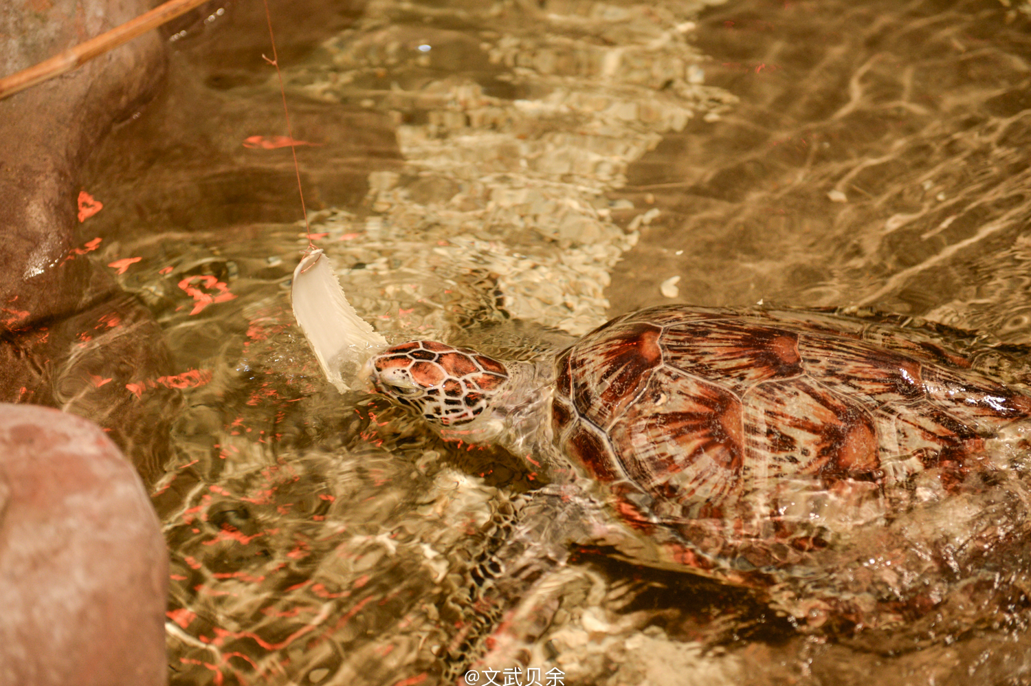 六安九十里山水画廊攻略,六安九十里山水画廊是啥