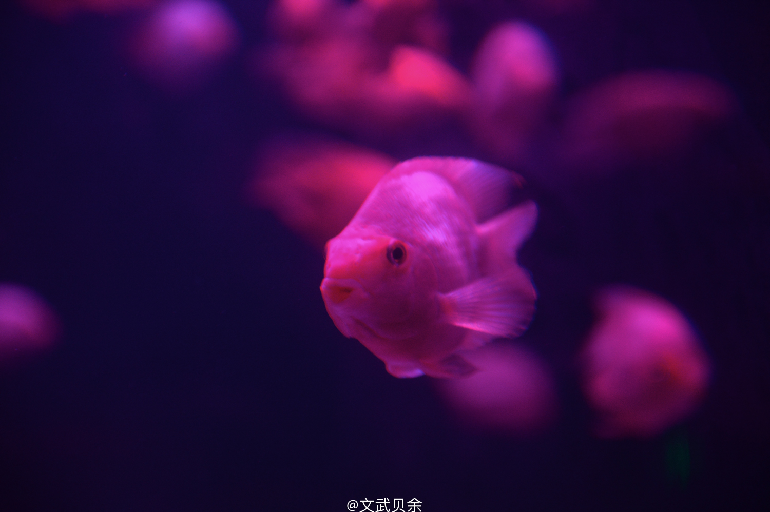 六安九十里山水画廊攻略,六安九十里山水画廊是啥