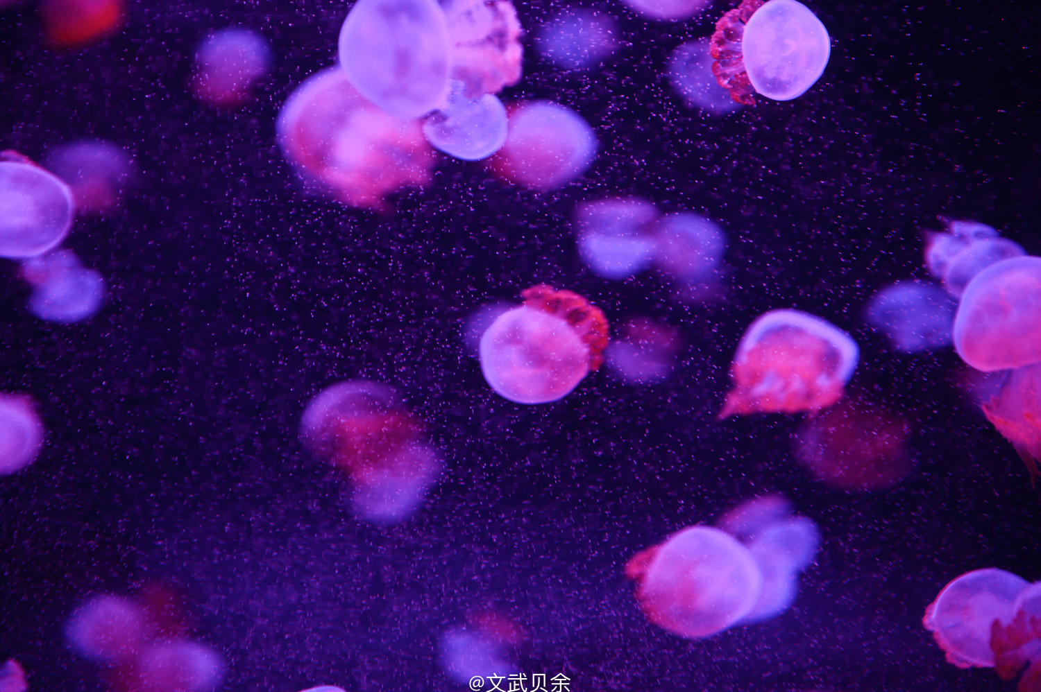 六安九十里山水画廊攻略,六安九十里山水画廊是啥