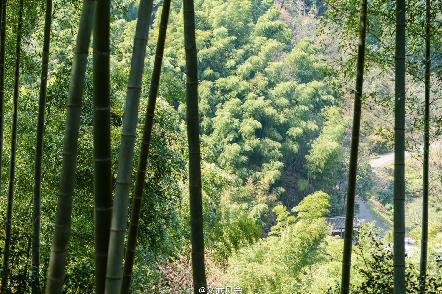 六安九十里山水画廊攻略,六安九十里山水画廊是啥