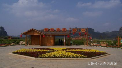 清明节快要到了我们要去扫墓吗,清明节就要到