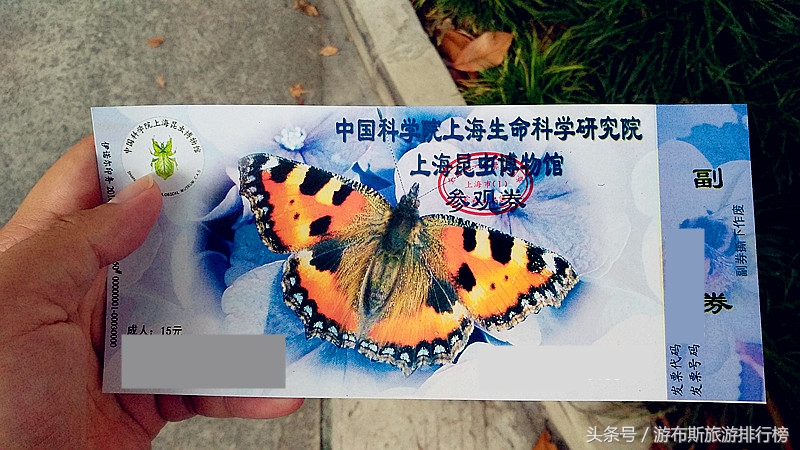 上海昆虫博物馆蜘蛛,上海昆虫博物馆珍藏馆