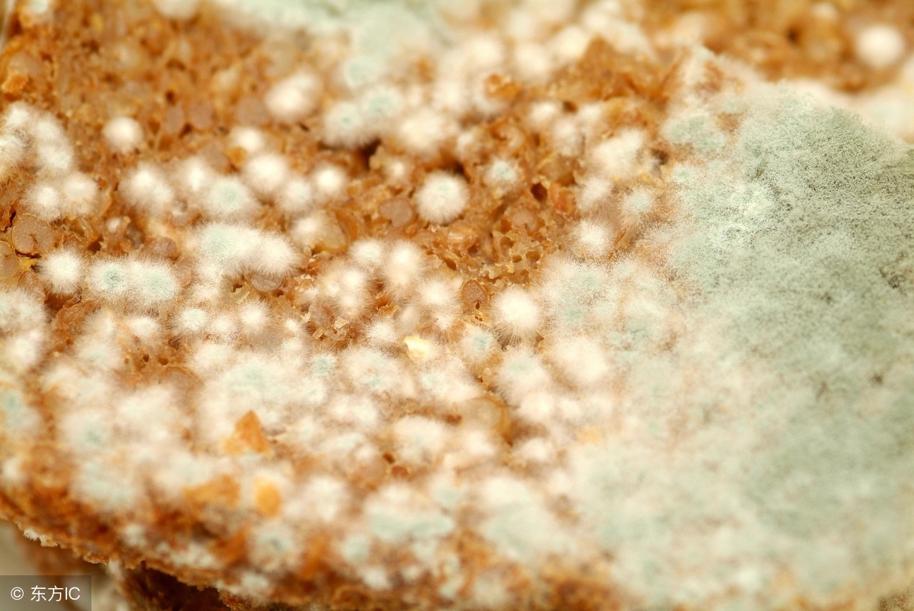 胶原蛋白到底怎么选,胶原蛋白怎么选教你一招轻松辨别