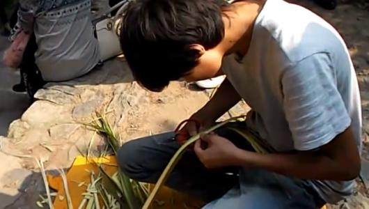 蛇虫鼠蚁咬伤怎么处理,蛇虫鼠蚁怕什么药物