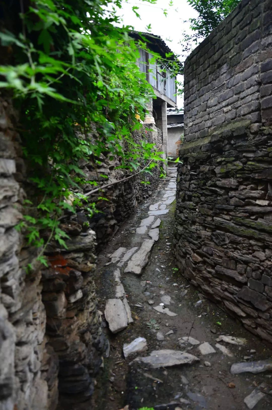 西安清明自驾,西安清明自驾免费景点