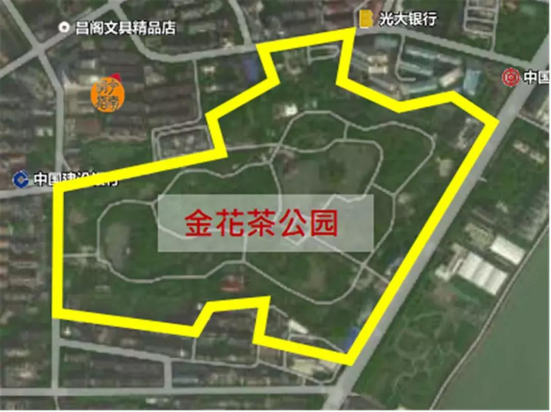 金花茶公园景点,走进金花茶公园