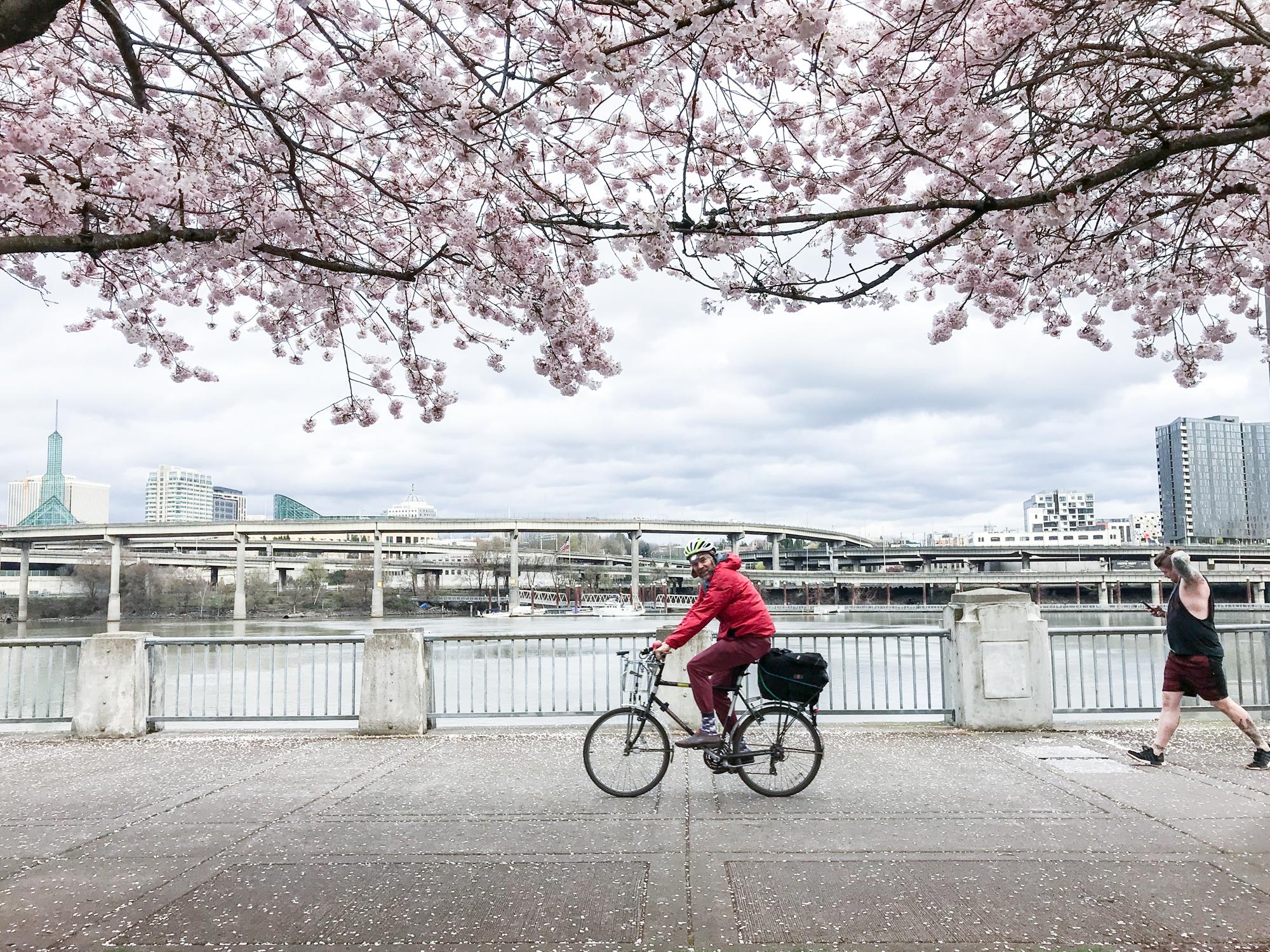 美国波特兰旅游休闲的自助导览 (西雅图和波特兰旅游攻略)