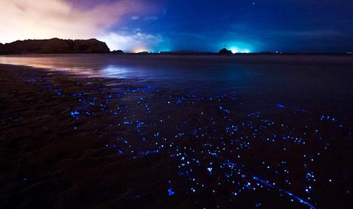 田园、海岸、人文古镇,居然全在这个福州周边的网红岛集齐了!