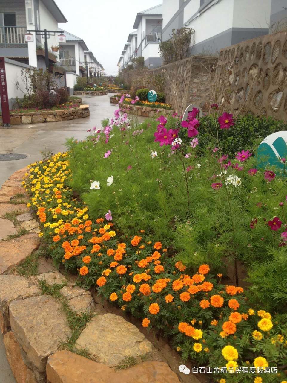 白石山酒店民宿排行榜,百丈山居精品民宿度假酒店