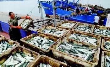 烟台海边海鲜寻找攻略,盘点海鲜市场所有进口大海鲜