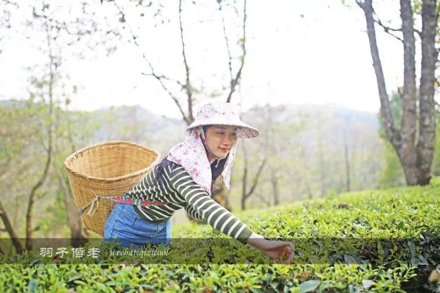 云南沧源靠近哪个国家,云南沧源最好玩的地方