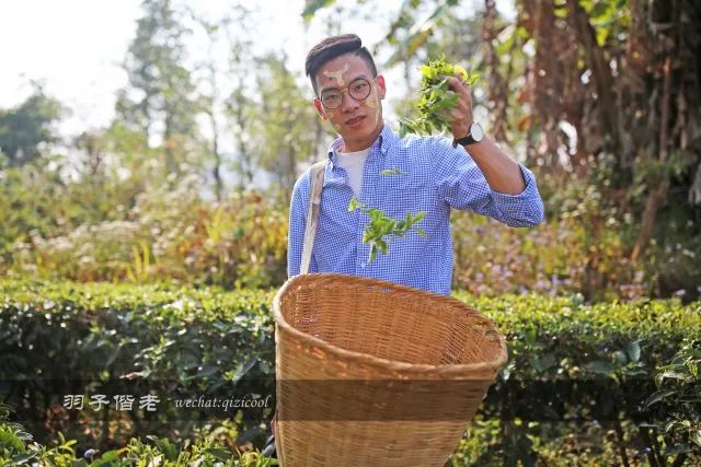 云南沧源靠近哪个国家,云南沧源最好玩的地方