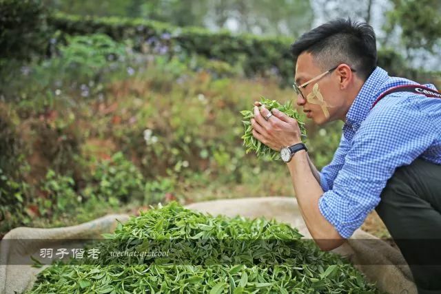 云南沧源靠近哪个国家,云南沧源最好玩的地方