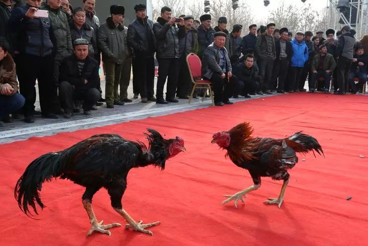 生活在吐鲁番的感受,生活在吐鲁番是一种怎样的体验
