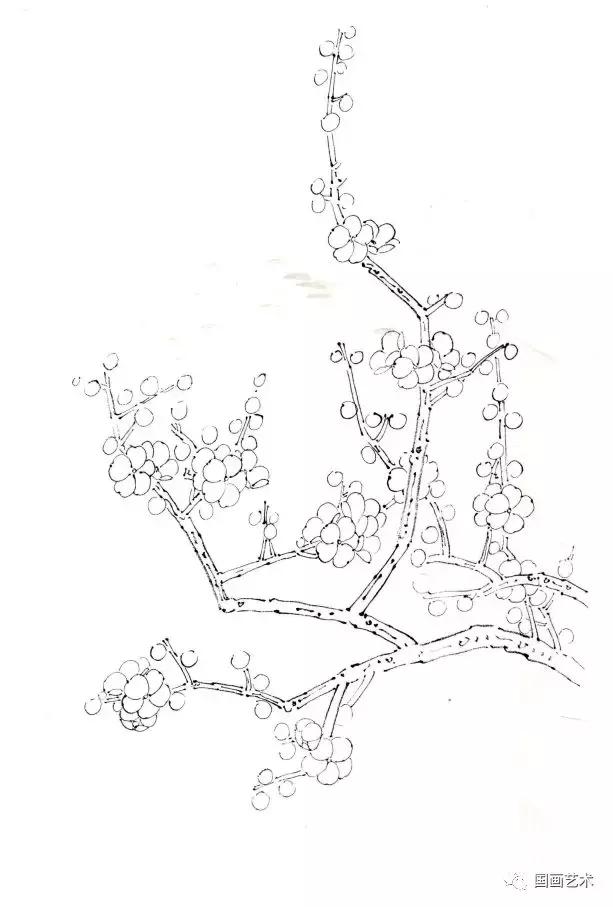 彩墨梅花国画作品欣赏,彩墨梅花画法步骤