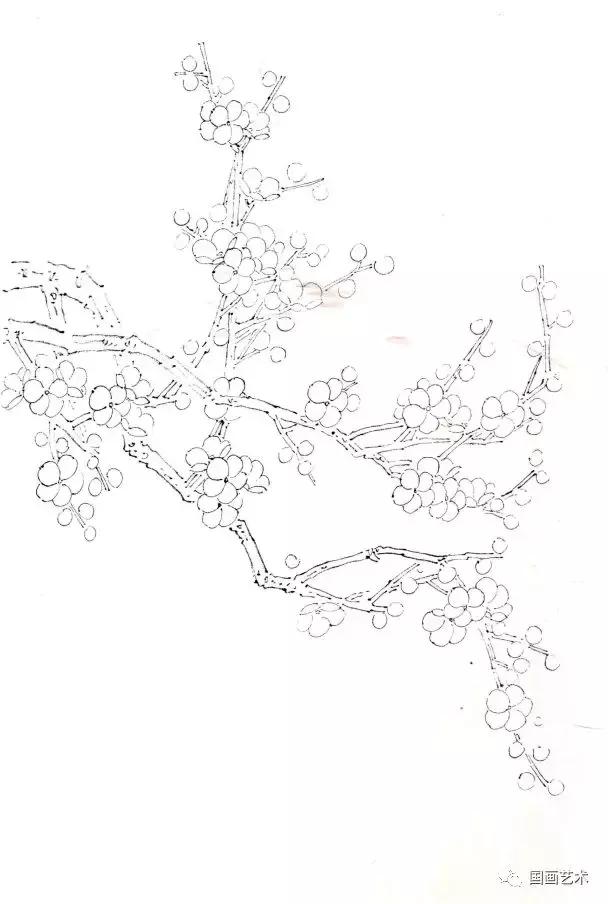 彩墨梅花国画作品欣赏,彩墨梅花画法步骤
