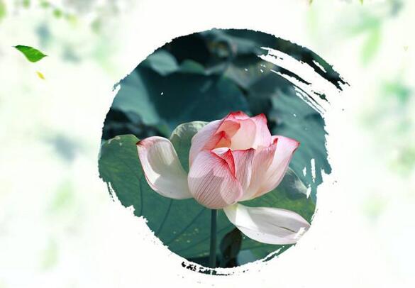 涨知识有趣的三叠字你能认识几个,三叠字与四叠字大全