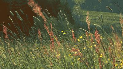 活得痛快才能死得痛快,死得痛快才算活得痛快