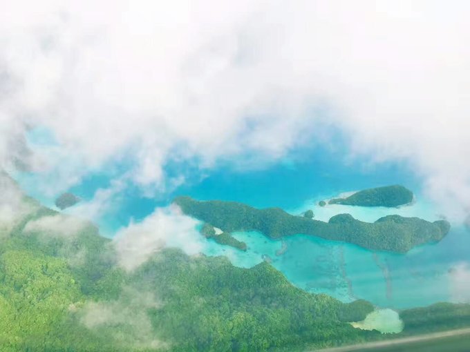 帕劳体验潜水,帕劳潜水胜地是什么体验