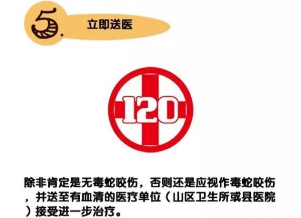 遇到毒蛇怎么办？专业知识还是需要的！