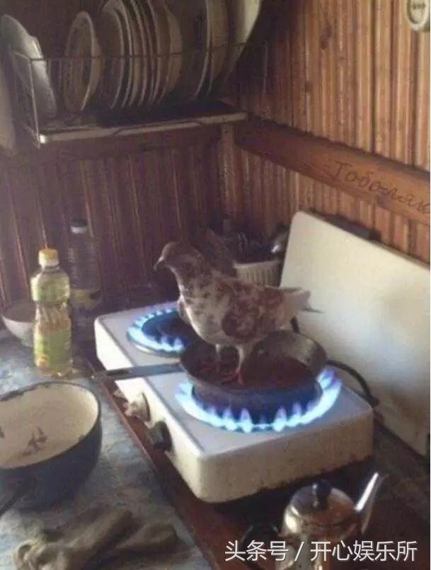 内涵笑话：班主任忽然冲进来，一把夺走我手机，他一手的粘稠感……