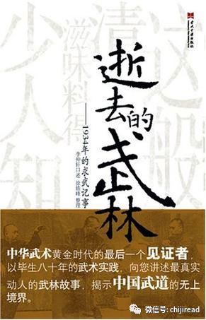 网文推书合集,求类似龙蛇演义这样的国术小说