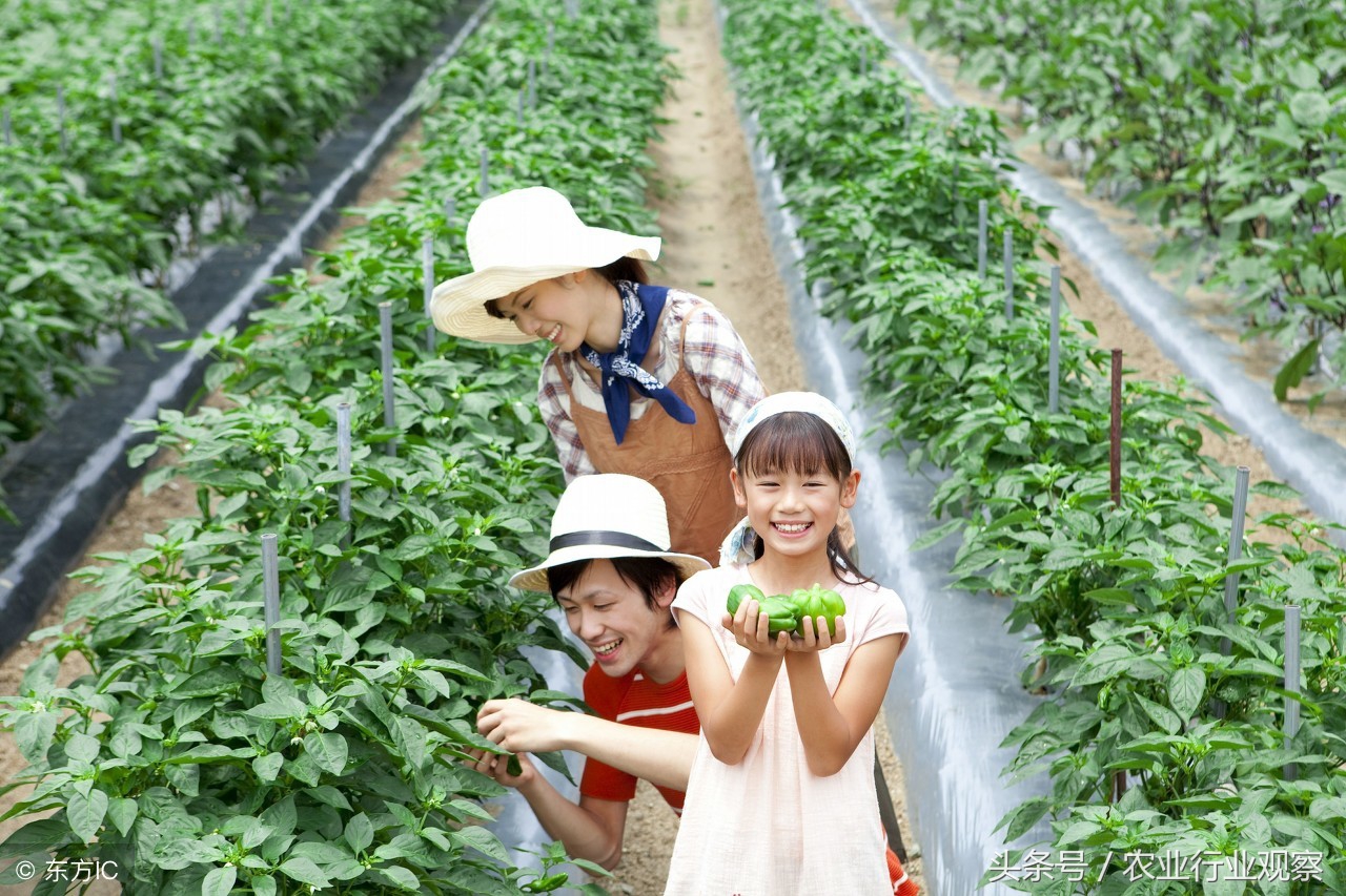 农村创业九个创业好点子,农村创业项目个人创业方案