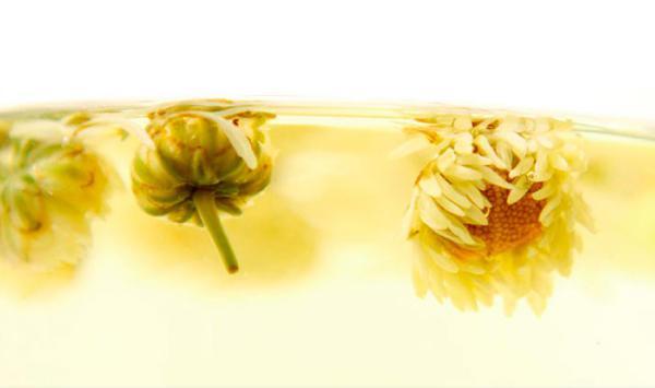 胎菊真假辨别,是贡菊更好还是胎菊更好