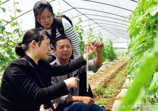 温室大棚地温专用温度计,大棚温度湿度计农用专用