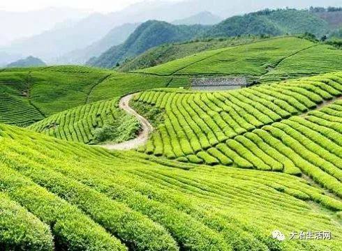 湖北大冶正宗的十大特产,大冶特色特产