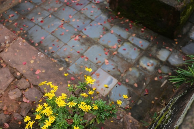 中国四月好去处，城市这块“肥肉”吃腻，诺邓走走胜过小菜清汤