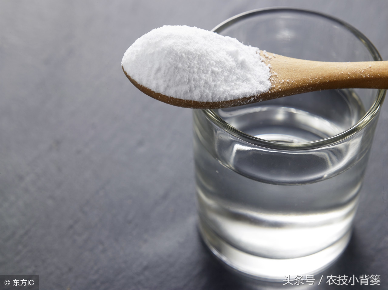 盆栽巧用小苏打:消毒灭菌、防虫祛害,家庭养花更简单!