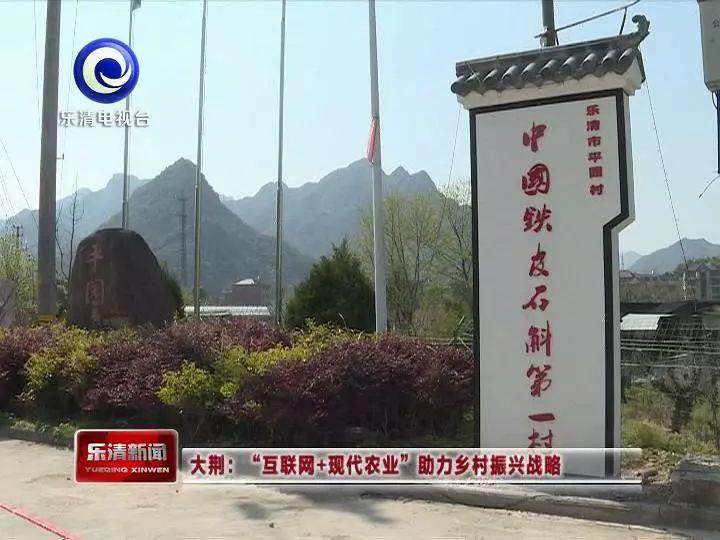 骄傲！乐清这个村年入超6000万，靠的都是这个……