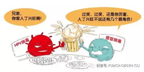 协和医院预约hpv疫苗,hpv九价疫苗可以在私立医院打吗