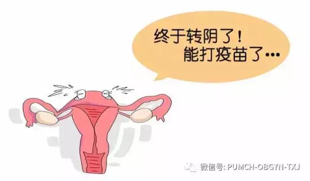 协和医院预约hpv疫苗,hpv九价疫苗可以在私立医院打吗