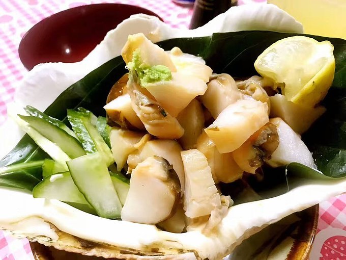 帕劳旅行的日记,帕劳的旅行日记