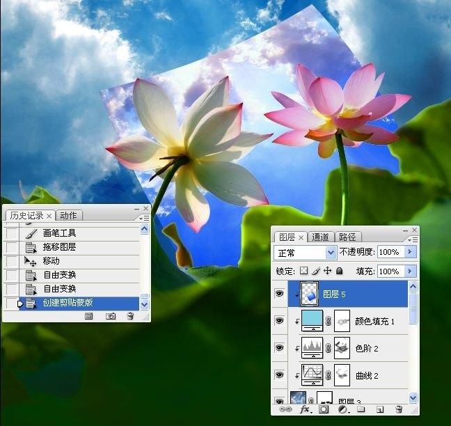 拍荷花用ps做成水墨画方法,ps怎样将拍的荷花p得漂亮免费教程