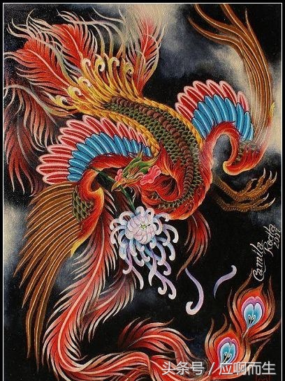 十二生肖怕人的生肖,蟑螂对应十二生肖什么动物