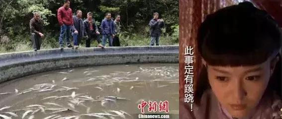 【三分钟法治新闻全知道】奇闻！特朗普“玩”出新高度，竟在白宫设立了一个神秘的宗教组织……