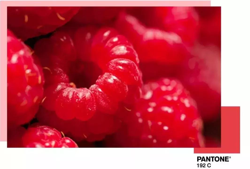 圣罗兰口红春夏推荐色号211,2018最值得买的十大口红